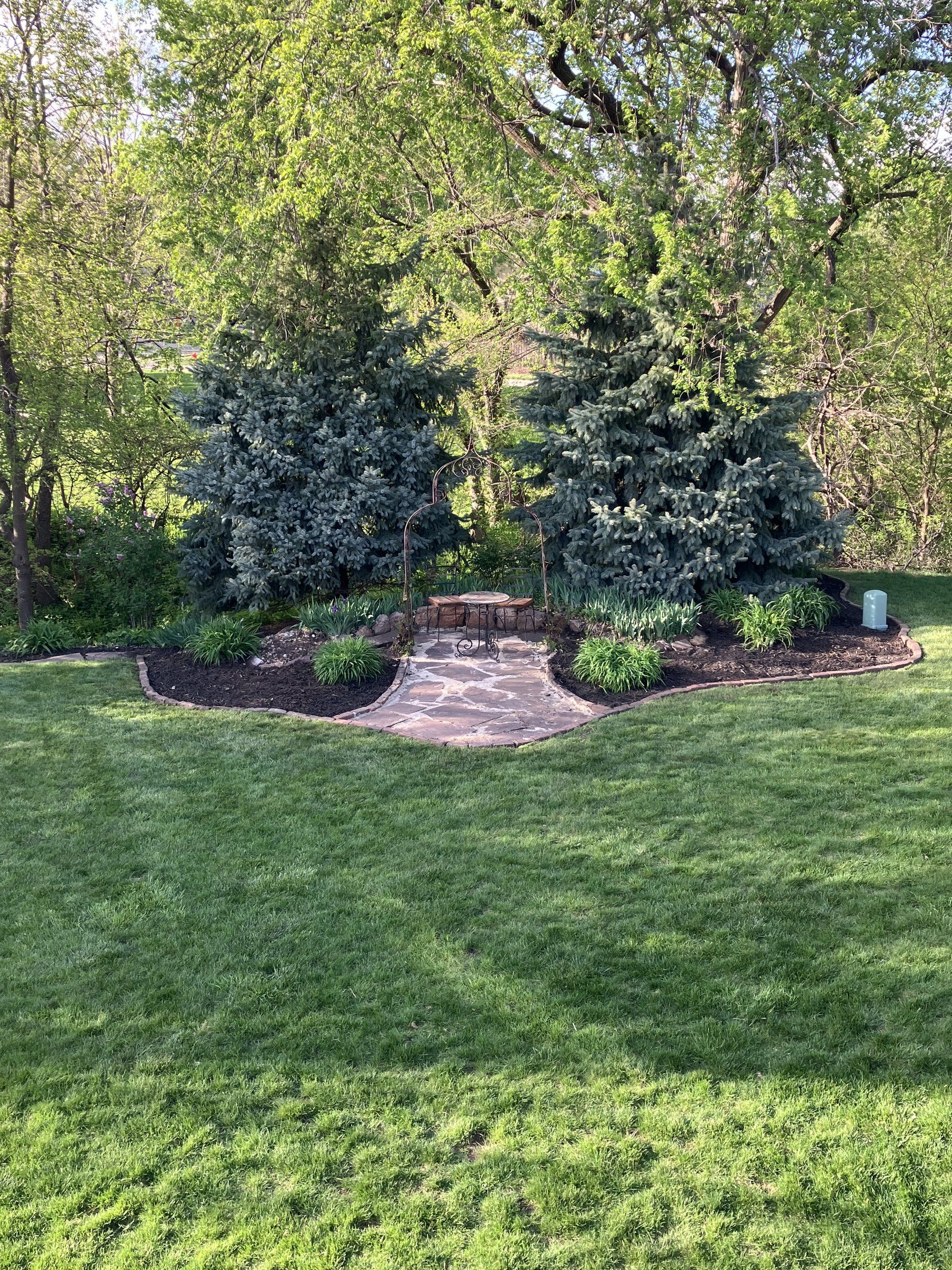 Freshly mulched beds and a stone path framed by blue spruces, with an edged lawn in front